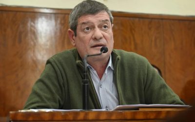 Miguel Guglielmotti: «La Ley Bases nos lleva a un esquema económico de principios del siglo XX»