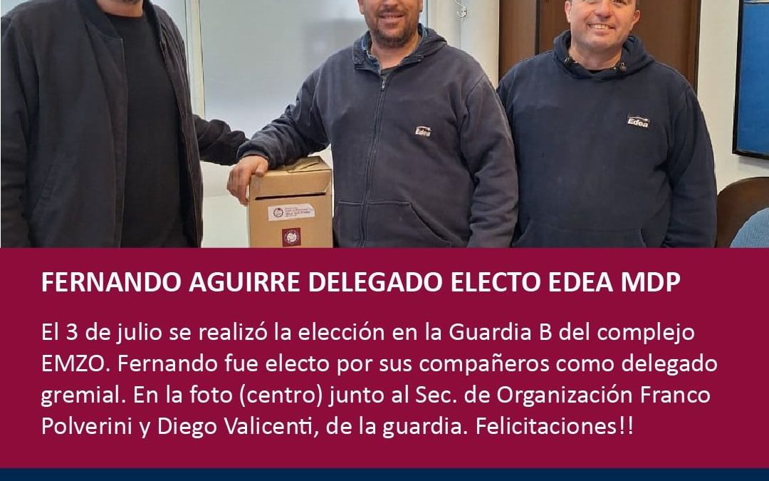 Luz y Fuerza Mar del Plata realizó dos elecciones de delegados en la empresa EDEA