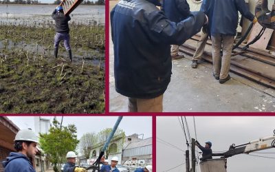Día del Trabajador y la Trabajadora de la Energía Eléctrica: «Nuestra causa es colectiva y nuestro destino lo forjamos entre todas y todos»
