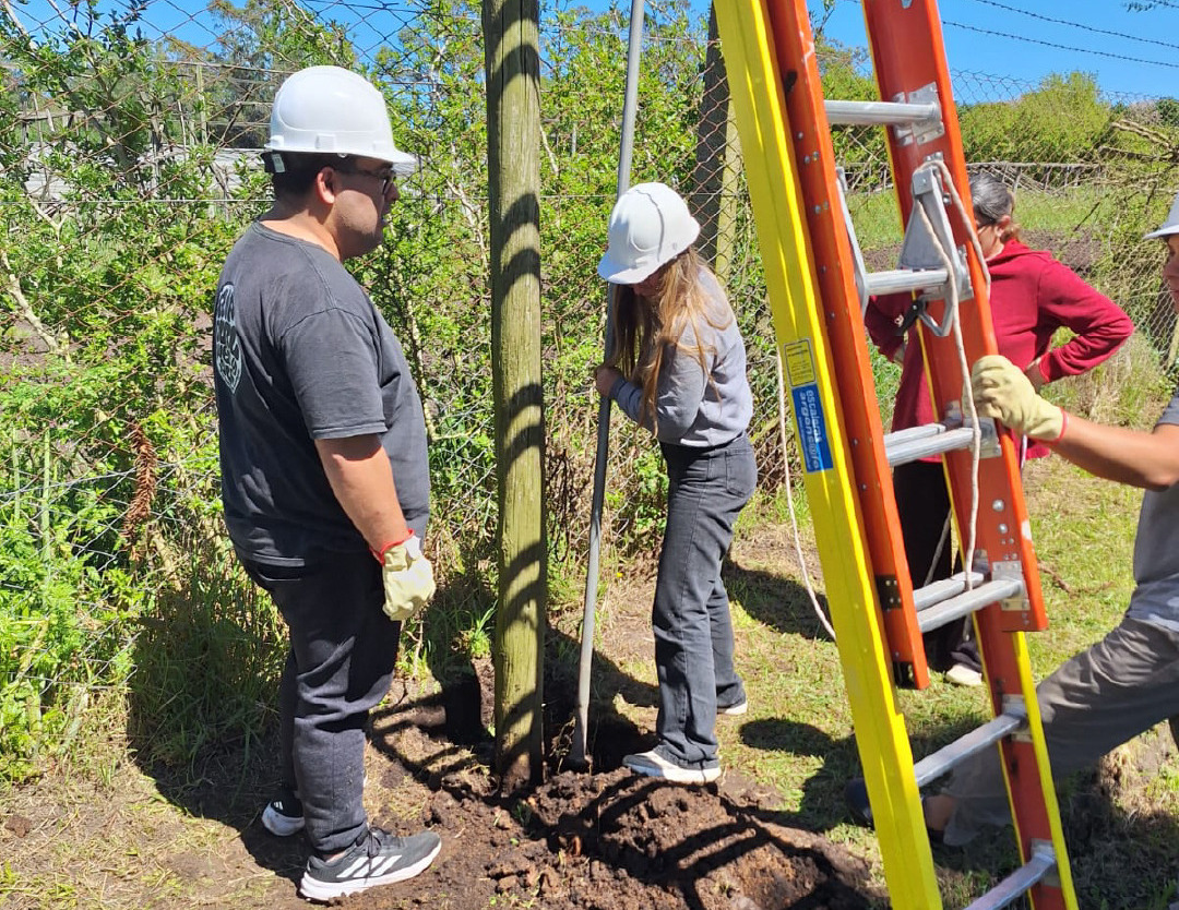 anonimostory.com_Instagram_luzyfuerzamdp_3748404828658511035_7141780840(1)